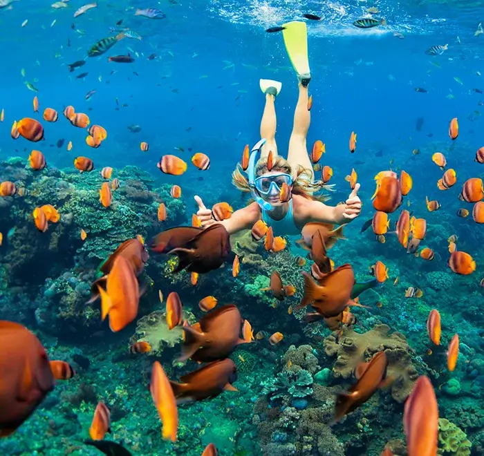 Snorkeling experience in Cabo San Lucas